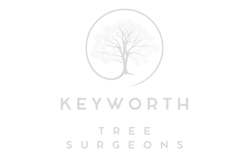 Keyworth Tree Surgeons